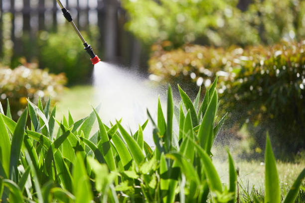 24/7 Emergency Mosquito Control experts in Taos, MO